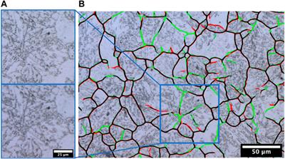 Efficient reconstruction of prior austenite grains in steel from etched light optical micrographs using deep learning and annotations from correlative microscopy